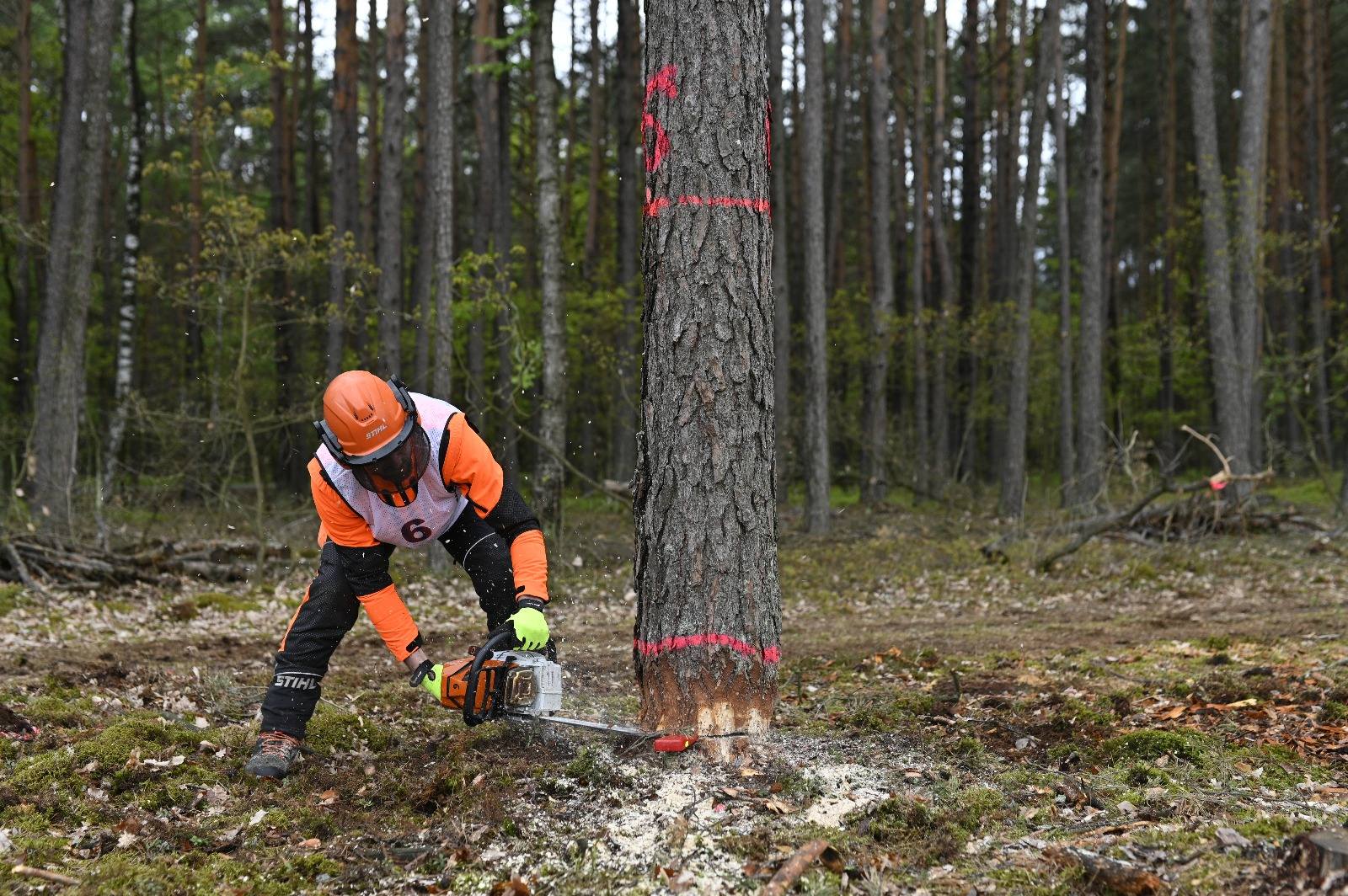 I Regionalne Zawody Drwali 2025 za nami!
