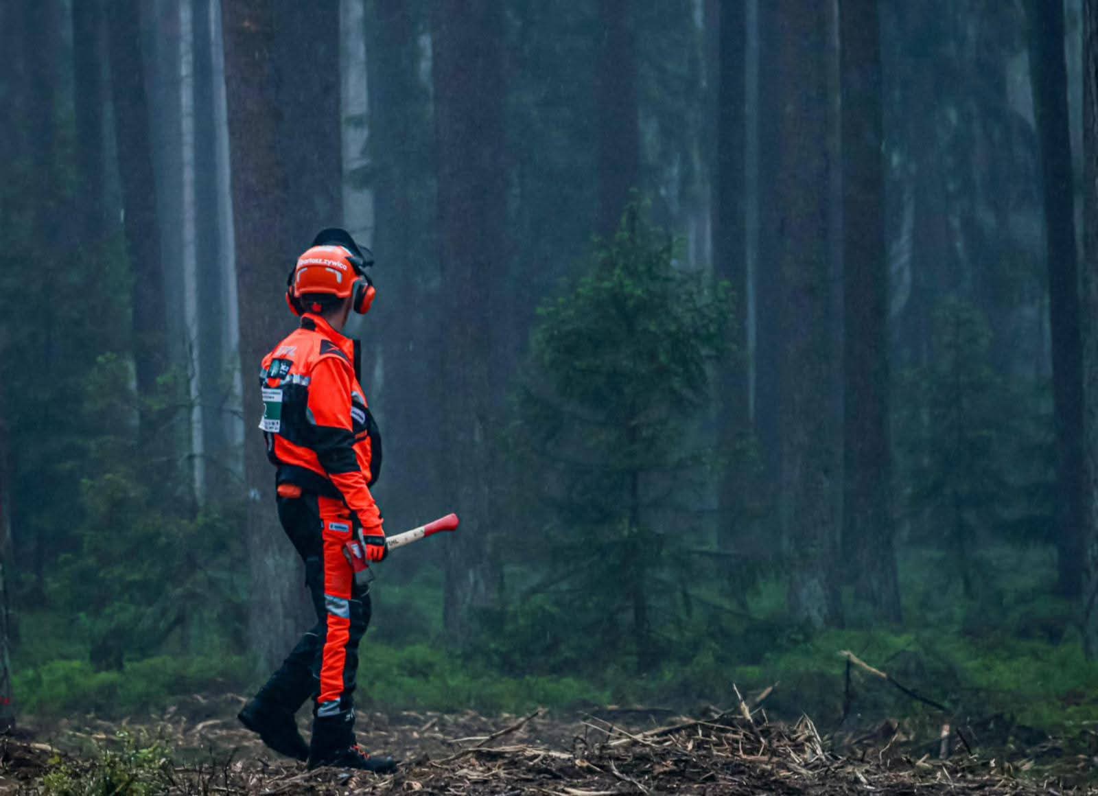 XVII Konkurs Umiejętności Leśnych w Rucianem-Nidzie za nami