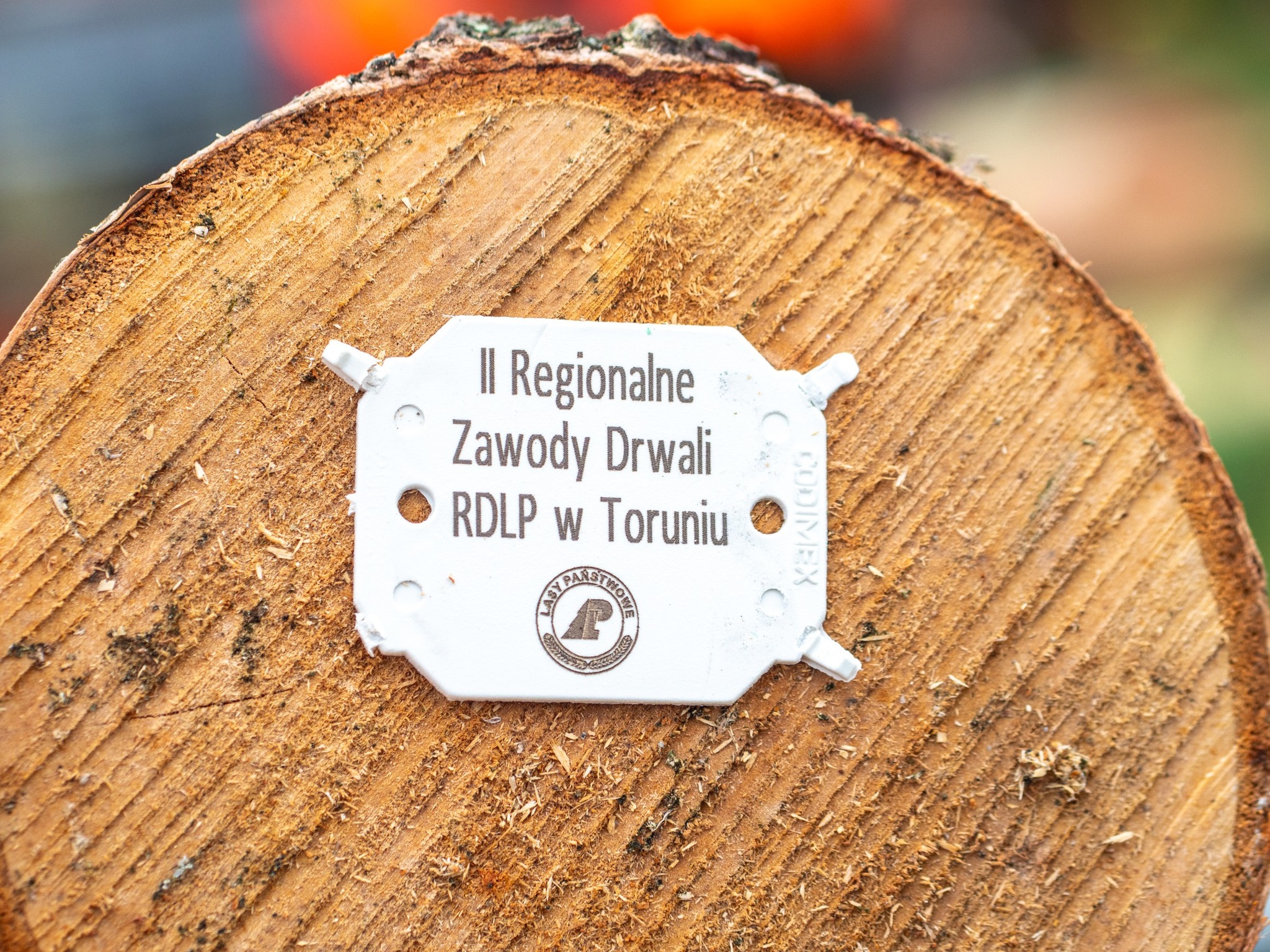 Rywalizowali nad Wisłą